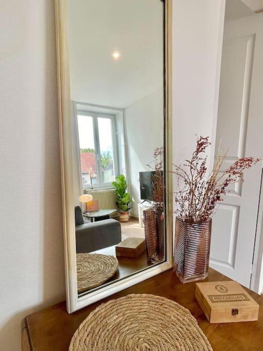 1 Appartement 3P Ideal Famille Travail Renove Lumineux Parking Gratuit Mulhouse Exterior foto